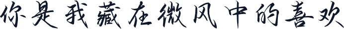 你是我藏在微风中的喜欢