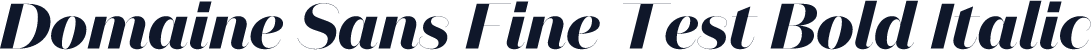 Domaine Sans Fine Test Bold Italic