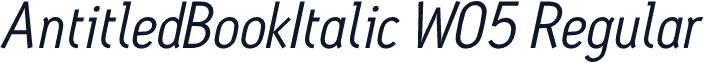 AntitledBookItalic W05 Regular