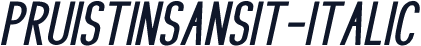 PRUISTINSANSIt-Italic