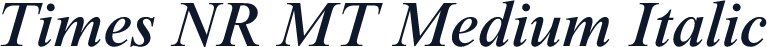 Times NR MT Medium Italic