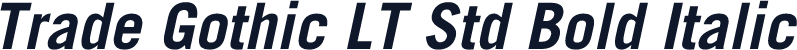 Trade Gothic LT Std Bold Italic