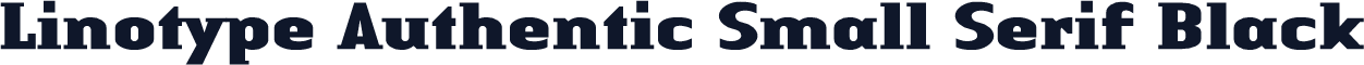 Linotype Authentic Small Serif Black