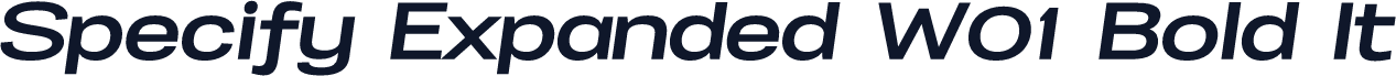Specify Expanded W01 Bold It