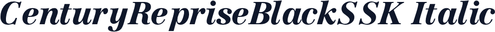 CenturyRepriseBlackSSK Italic
