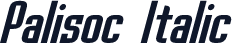 Palisoc Italic