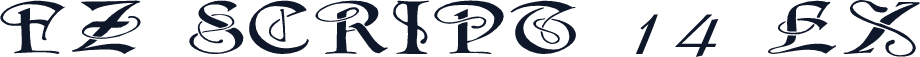 FZ SCRIPT 14 EX