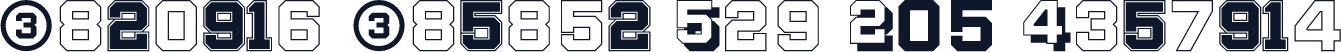 Display Digits Two W05 Regular