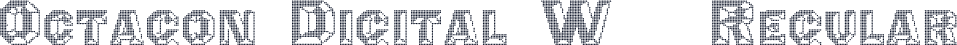 Octagon Digital W05 Regular