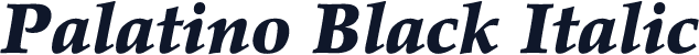 Palatino Black Italic