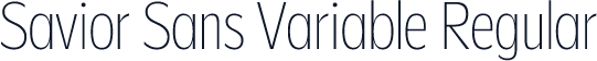 Savior Sans Variable Regular