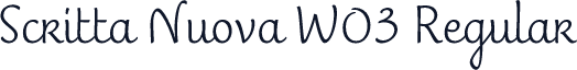 Scritta Nuova W03 Regular