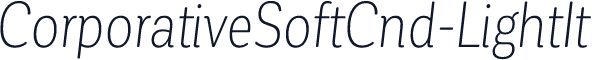 ☞CorporativeSoftCnd-LightIt