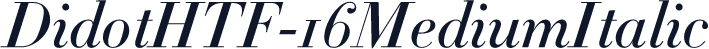 DidotHTF-16MediumItalic