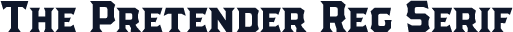 The Pretender Reg Serif