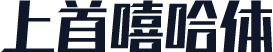 上首嘻哈体