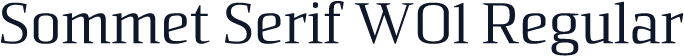 Sommet Serif W01 Regular