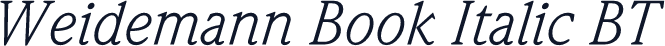 Weidemann Book Italic BT