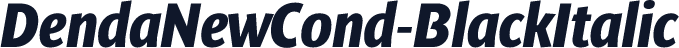 DendaNewCond-BlackItalic