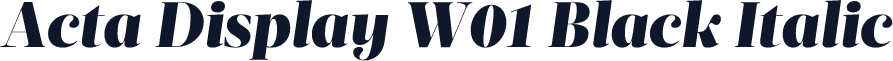 Acta Display W01 Black Italic