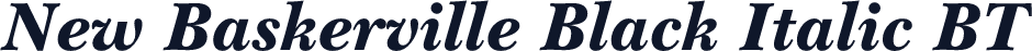 New Baskerville Black Italic BT