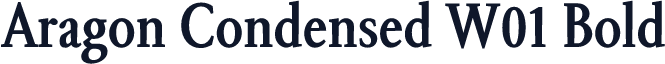 Aragon Condensed W01 Bold