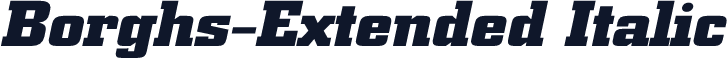 Borghs-Extended Italic