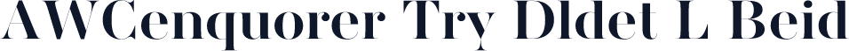 AWConqueror Try Didot L Bold