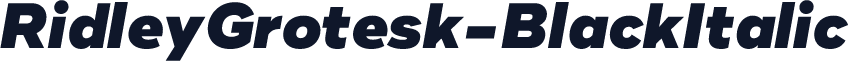 RidleyGrotesk-BlackItalic