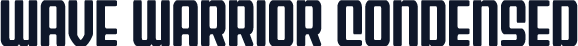 Wave Warrior Condensed