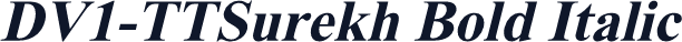 DV1-TTSurekh Bold Italic