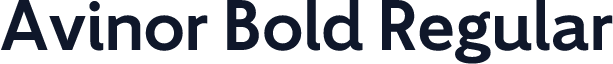 Avinor Bold Regular
