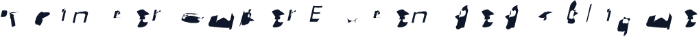 Pointer SuperExtended Oblique