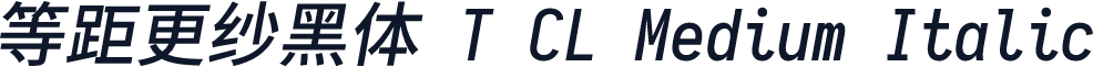 等距更纱黑体 T CL Medium Italic