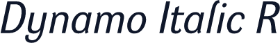 Dynamo Italic R