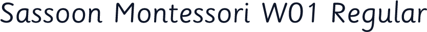 Sassoon Montessori W01 Regular