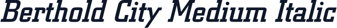 Berthold City Medium Italic