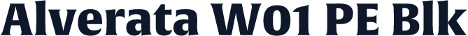Alverata W01 PE Blk