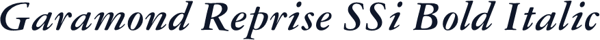 Garamond Reprise SSi Bold Italic