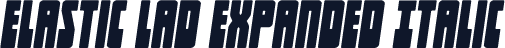 Elastic Lad Expanded Italic