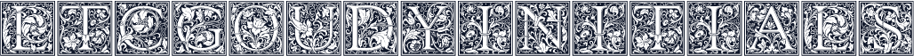 ☞LTCGoudyInitials