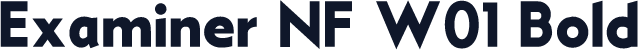 Examiner NF W01 Bold