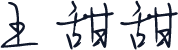 王甜甜
