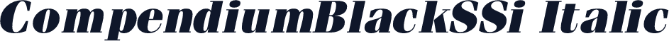 CompendiumBlackSSi Italic