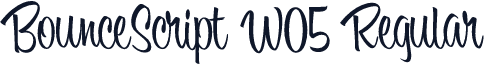 BounceScript W05 Regular