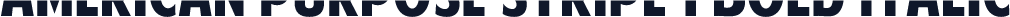 American Purpose STRIPE 1 Bold Italic