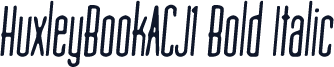 HuxleyBookACJ1 Bold Italic
