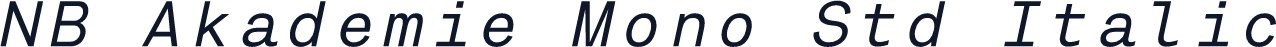 NB Akademie Mono Std Italic