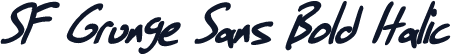 SF Grunge Sans Bold Italic