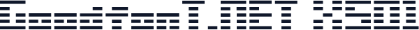 GoodfonT.NET XS01